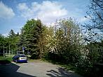 Borovina