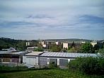 Borovina