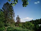 Borovina