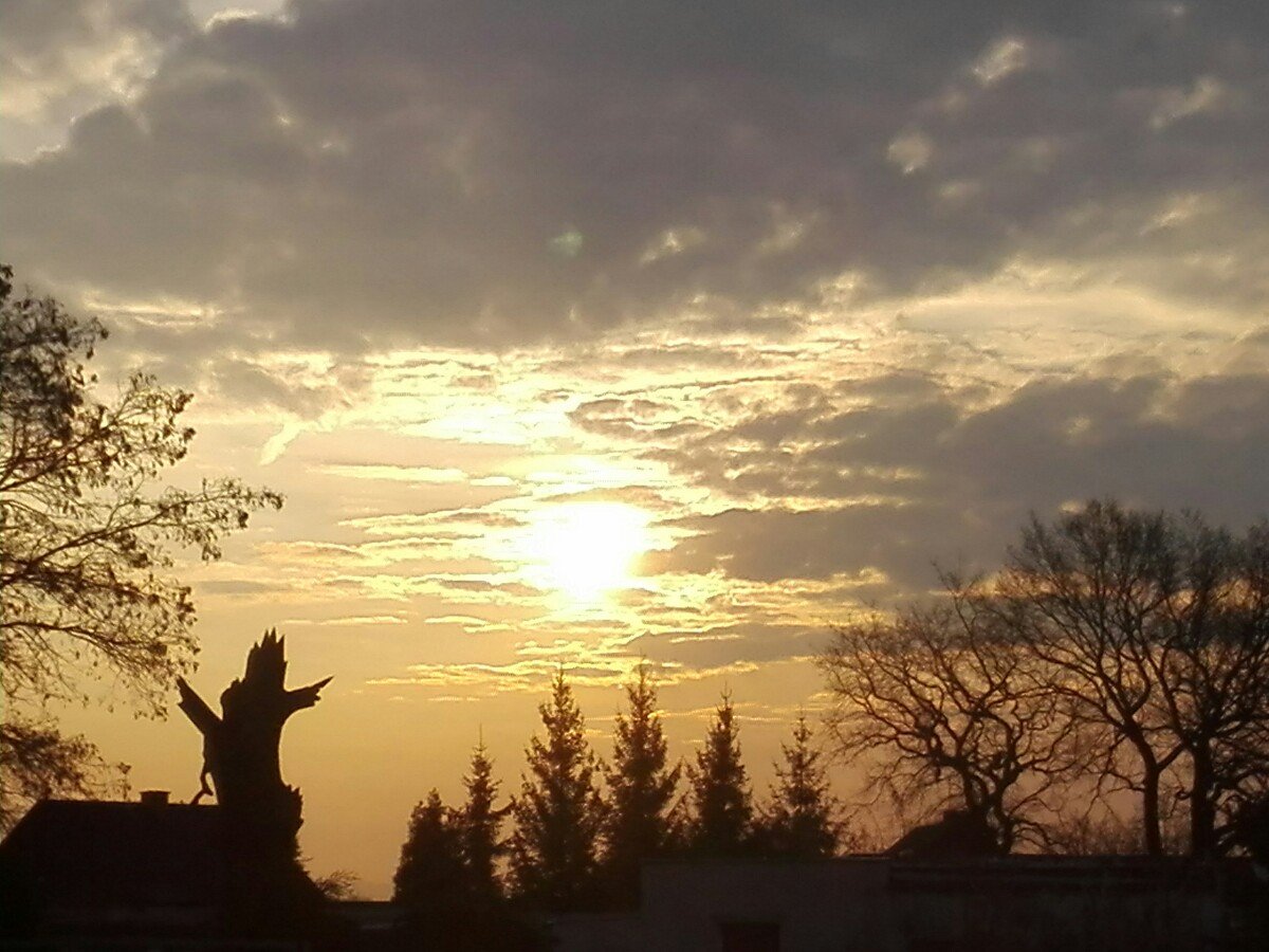 Jirkov