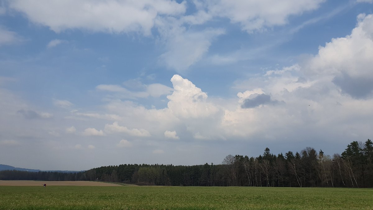 Mirkovice