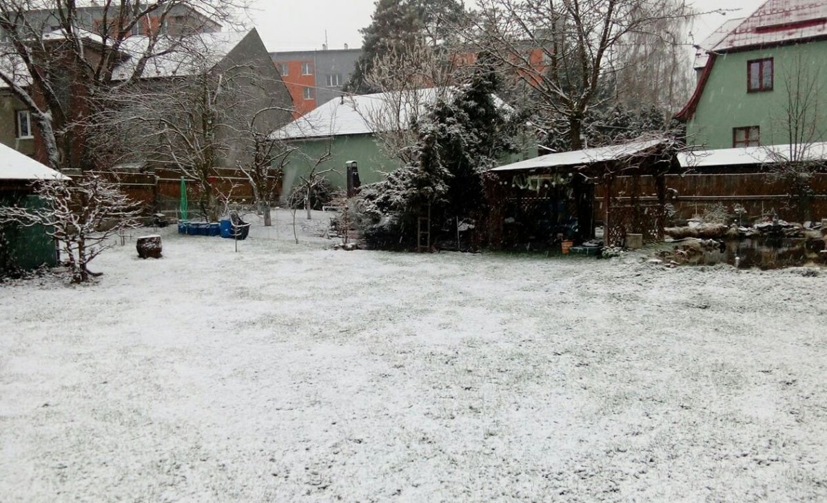 Vítkov