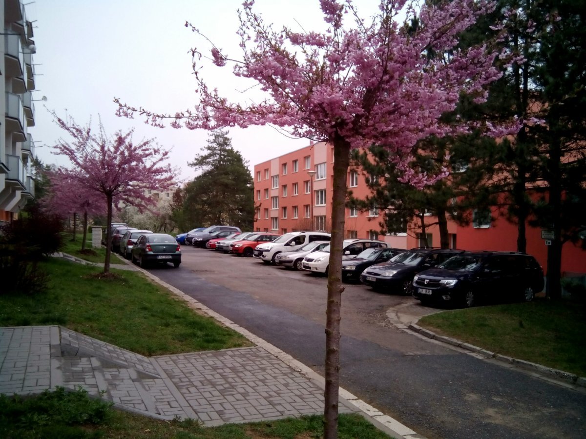 Třebíč-Borovina