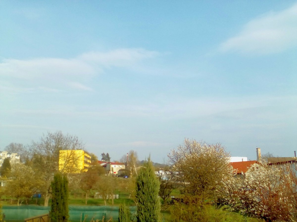 Hořice - Libonice