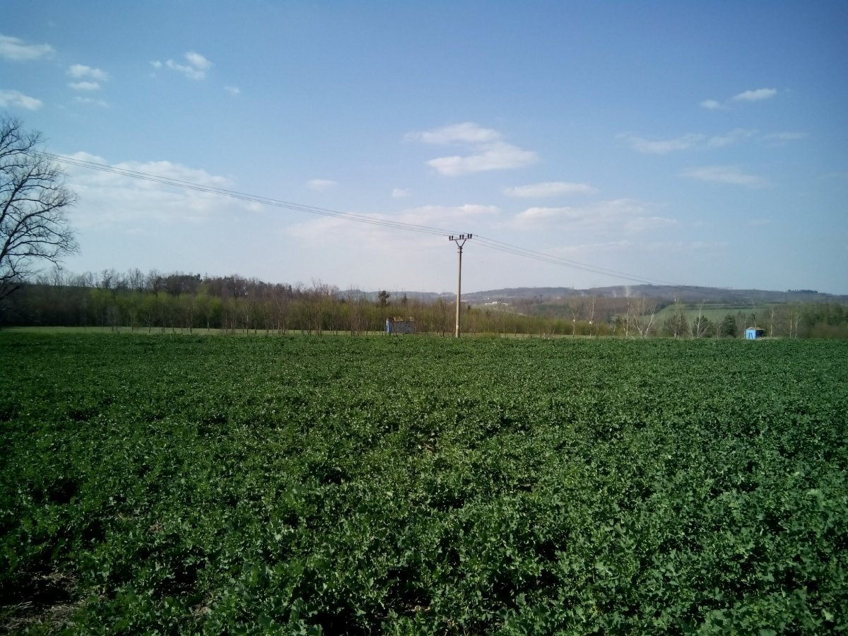 Třebíč-Borovina