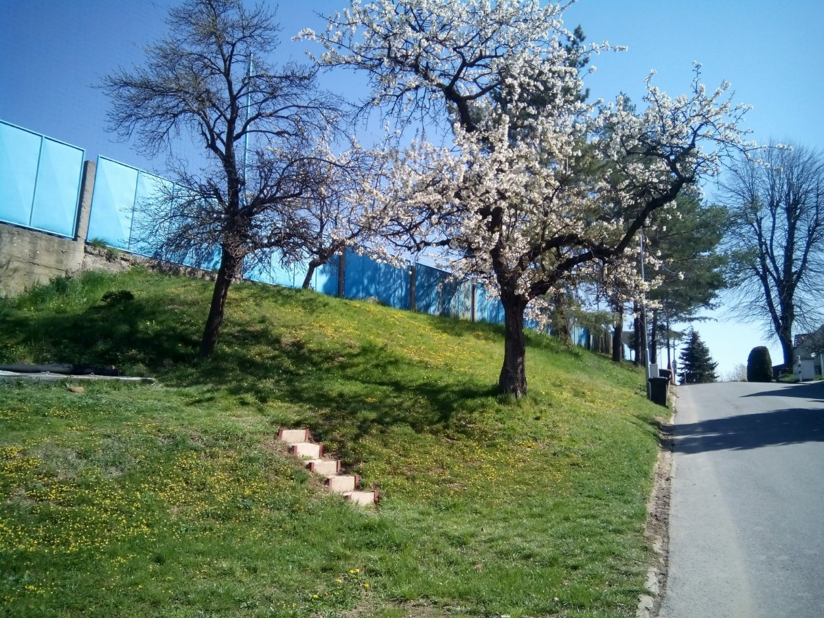Třebíč-Borovina