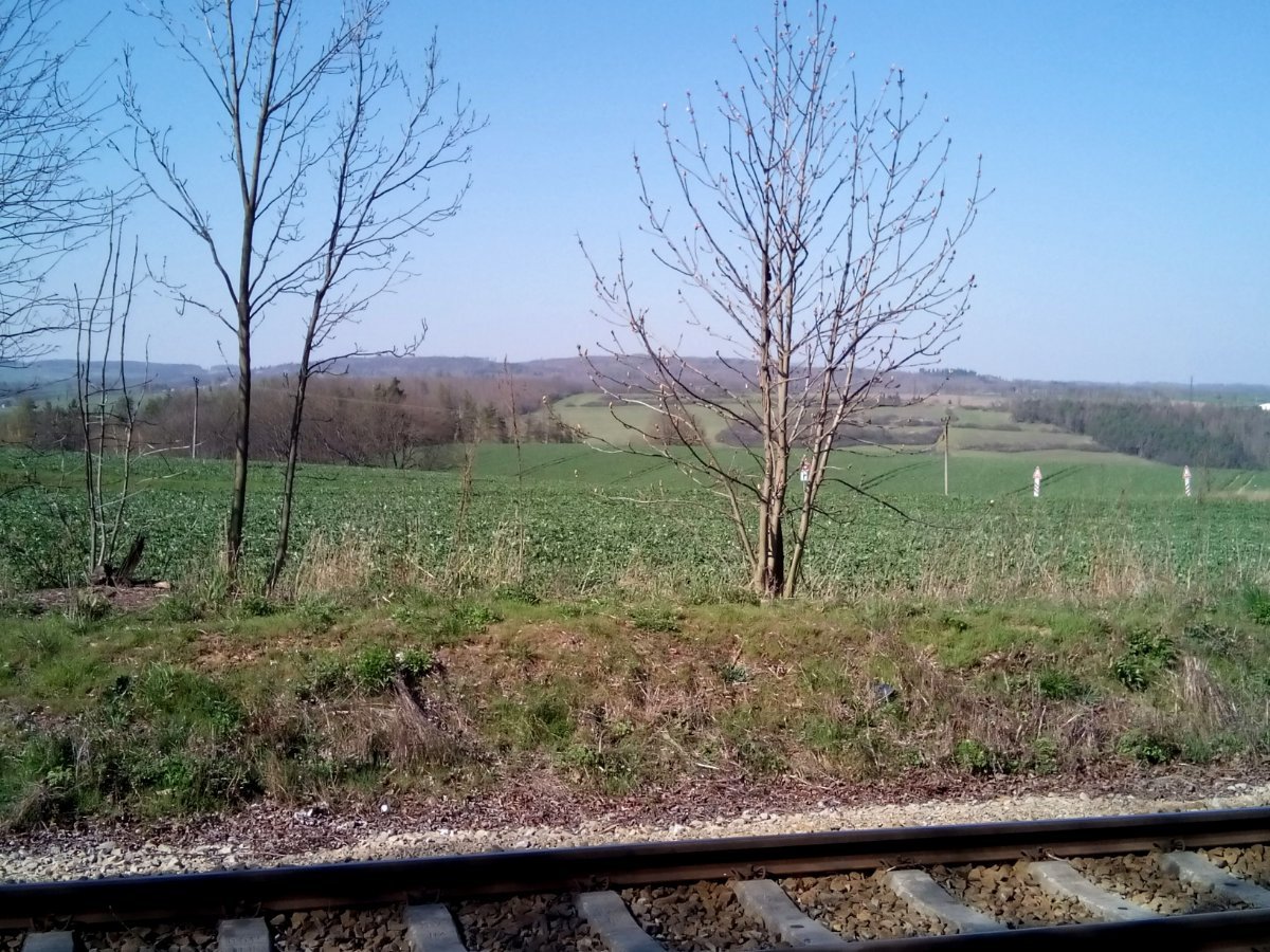 Třebíč-Borovina