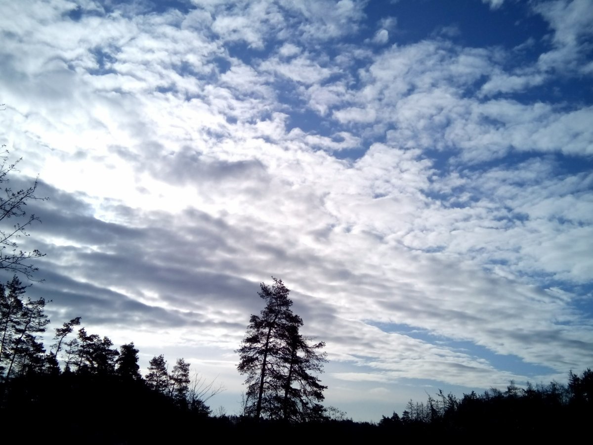 Třebíč-Borovina
