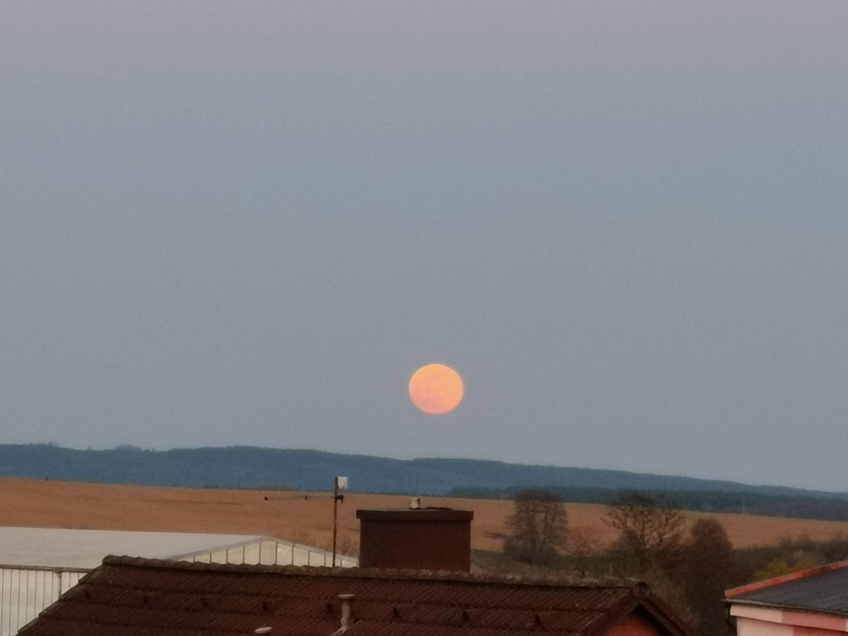 Tachov