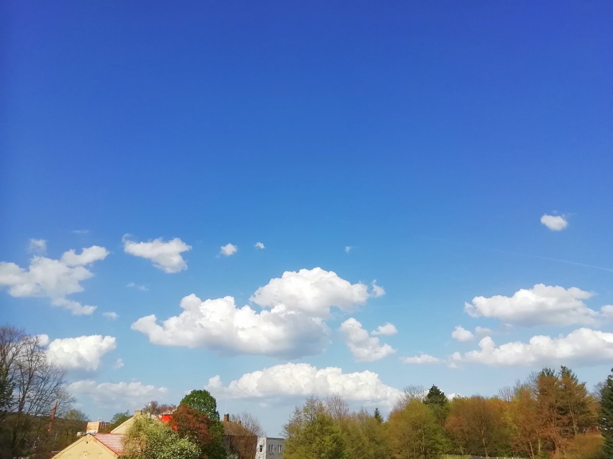 Sněžník