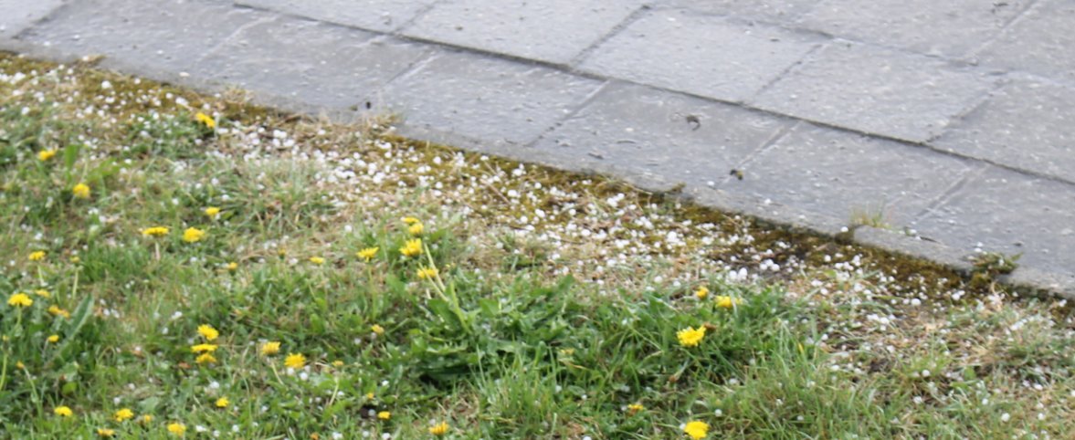 Toužim