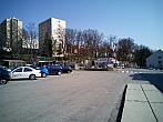 Borovina