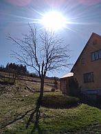 Skalité