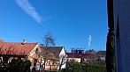 Olešná