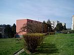 Borovina