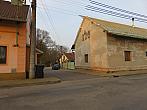 Třibřichy