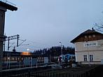 Zwardoň