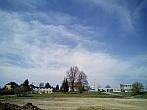Borovina