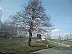 Pacov