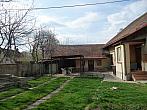 Třibřichy