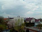 Hořice - Libonice