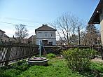 Třibřichy