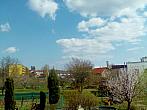 Hořice - Libonice