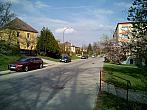 Borovina