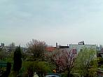 Hořice - Libonice