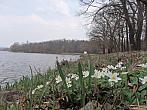 Dětenice - Brodek
