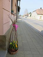 Třibřichy