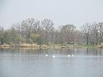 Neratovice
