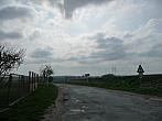Třibřichy