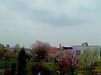 Hořice - Libonice