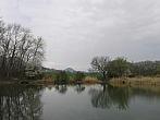 Raná