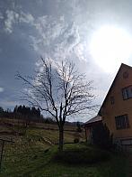 Skalité