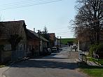 Třibřichy