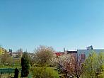 Hořice - Libonice