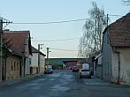 Třibřichy