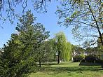 Neratovice