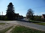 Třibřichy