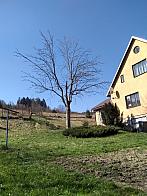 Skalité