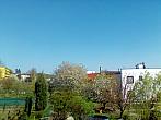 Hořice - Libonice