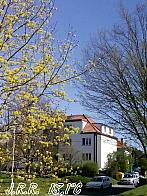 Slavičín, sídliště Vlára
