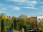Hořice - Libonice