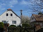 Třibřichy