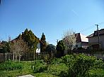 Třibřichy