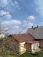 Skalité
