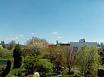 Hořice - Libonice