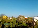 Hořice - Libonice